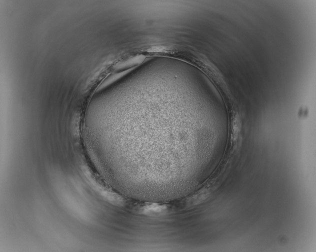 X0000114190257200910231327
