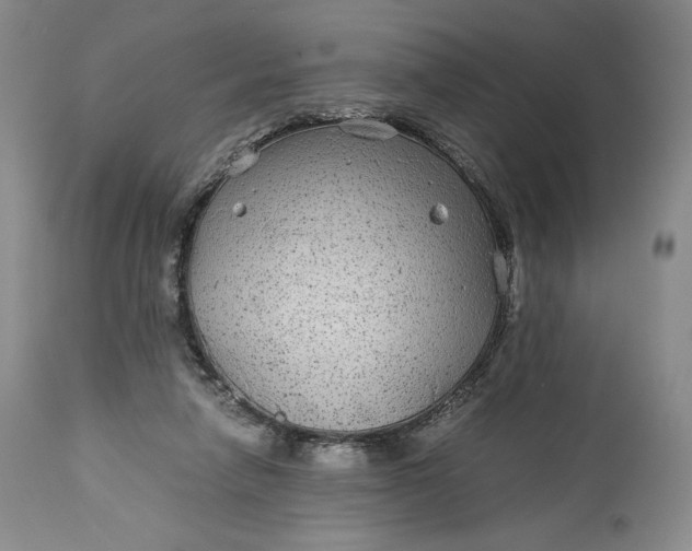 X0000114190258200910231327