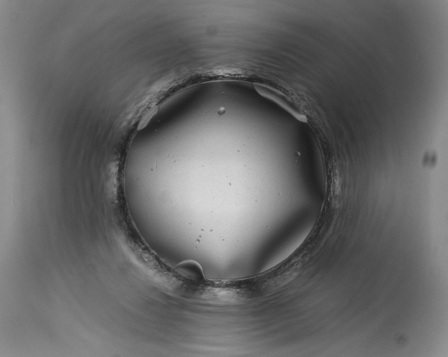 X0000114190260200910231327