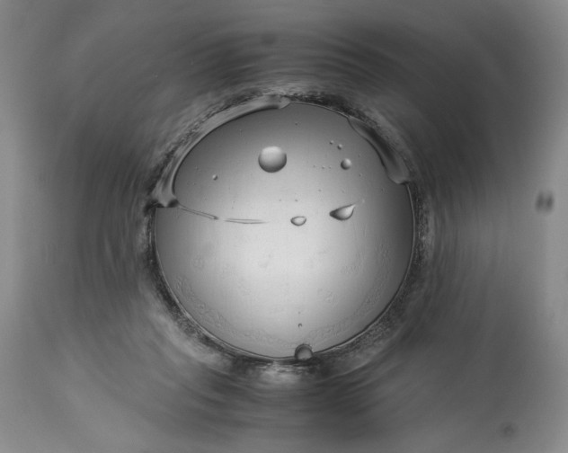 X0000114190261200910231327
