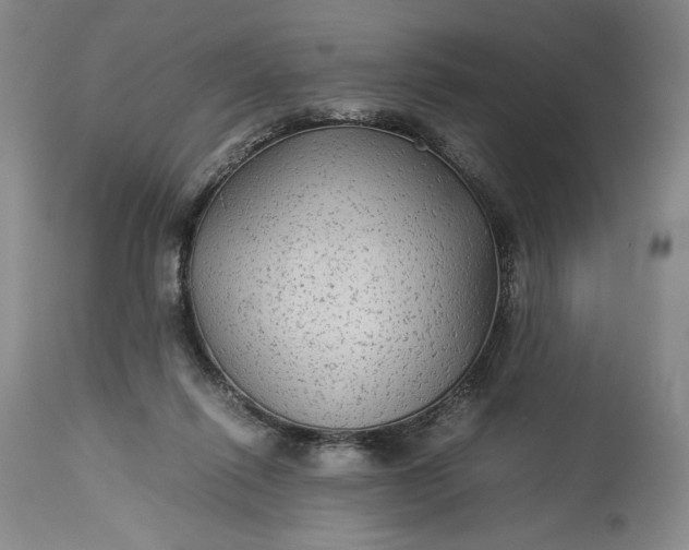 X0000114190262200910231327
