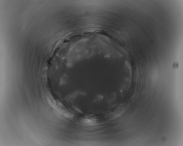 X0000114190263200910231327