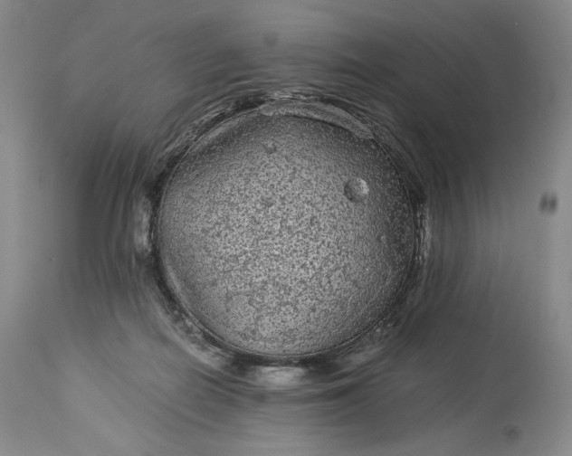 X0000114190266200910231327