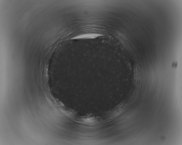 X0000114190267200910231327
