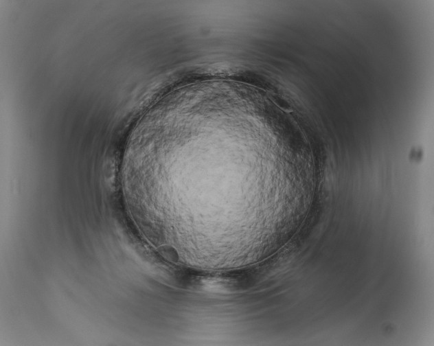 X0000114190268200910231327