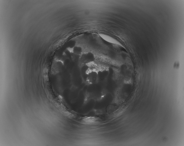 X0000114190269200910231327