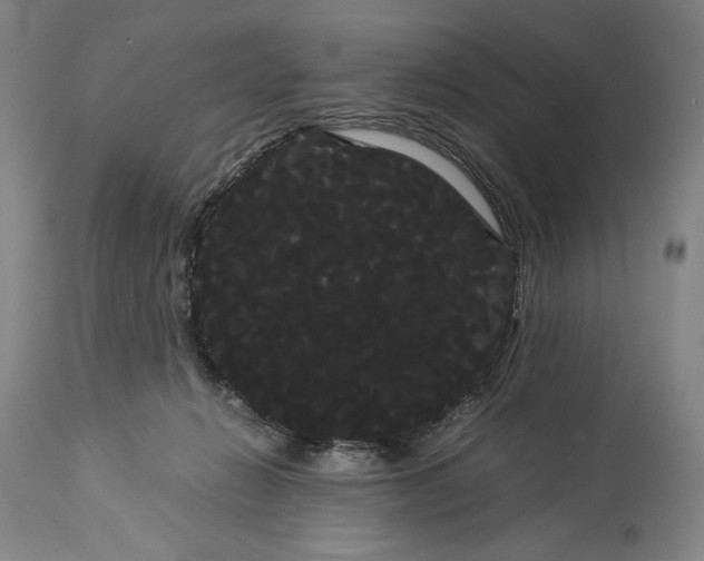 X0000114190270200910231327