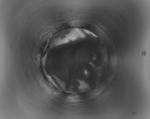 X0000114190271200910231327