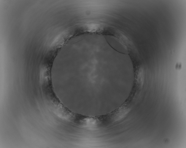 X0000114190272200910231328