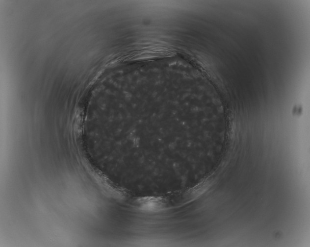 X0000114190273200910231328