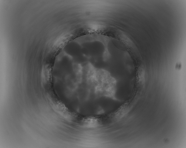 X0000114190276200910231328