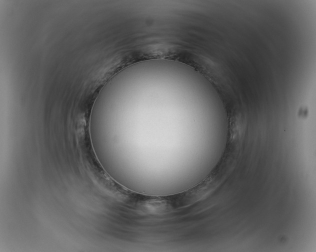 X0000114190279200910231328