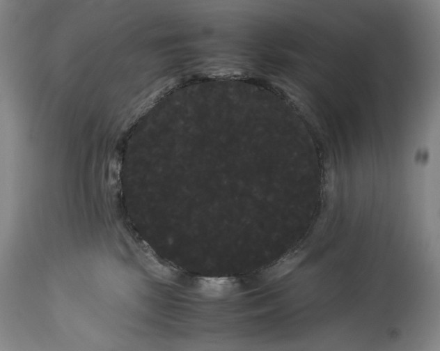 X0000114190281200910231328