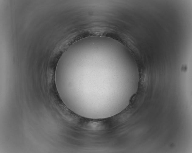 X0000114190283200910231328
