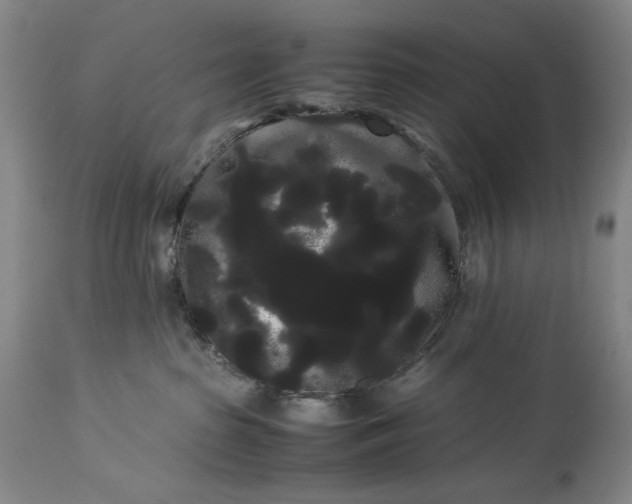 X0000114190285200910231328
