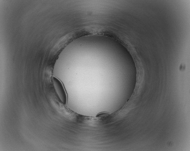 X0000114190288200910231328