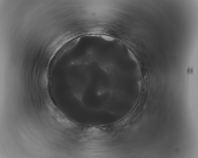 X0000114190290200910231327