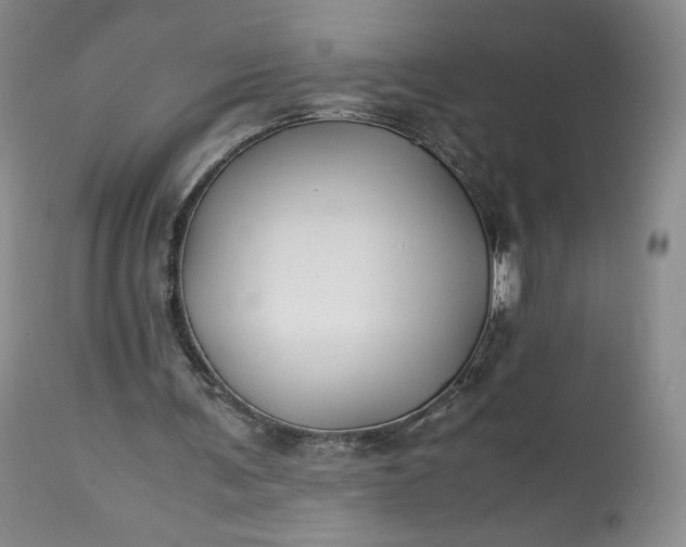 X0000114190291200910231327