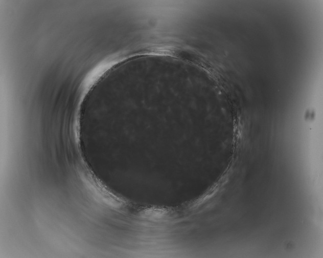 X0000114190294200910231327