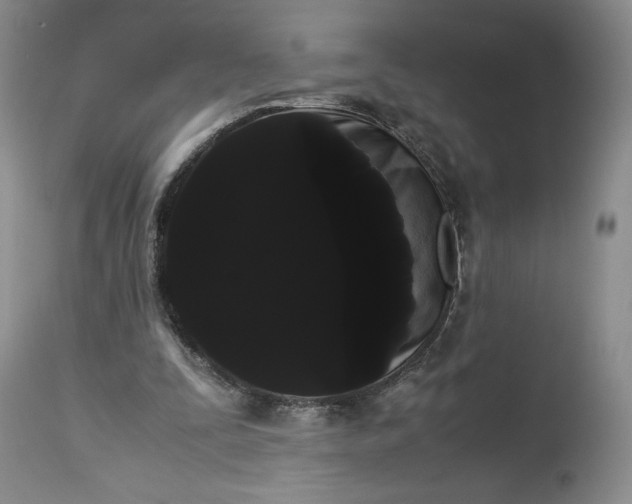 X0000114190295200910231327