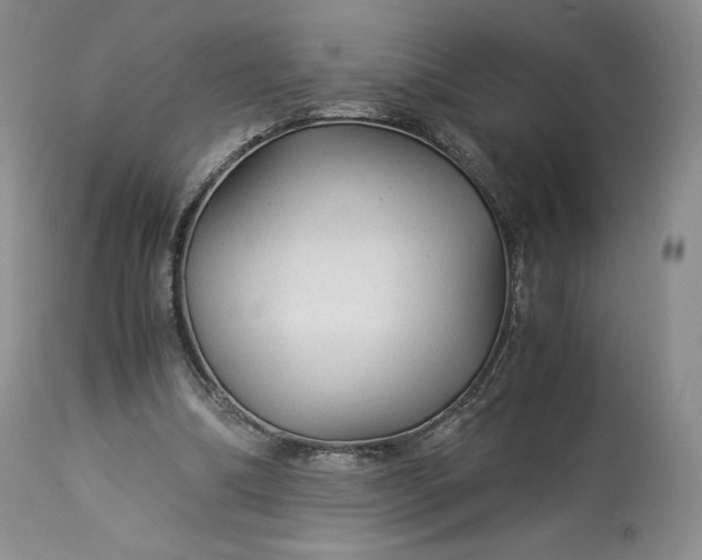 X0000114190298200910231327