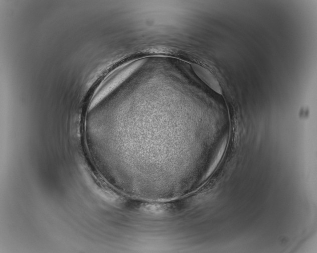 X0000114190299200910231327