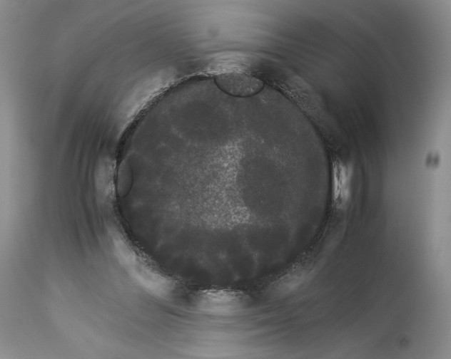 X0000114190300200910231327