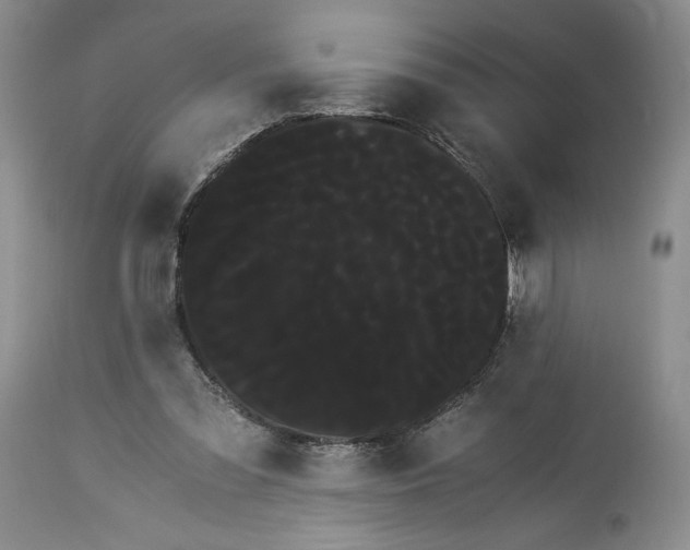 X0000114190301200910231327