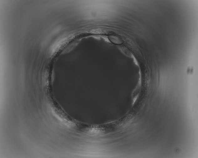 X0000114190303200910231327