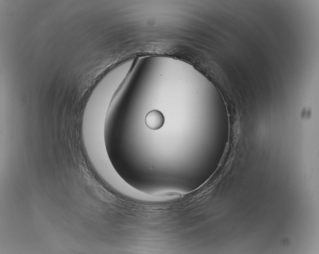 X0000114190305200910231327