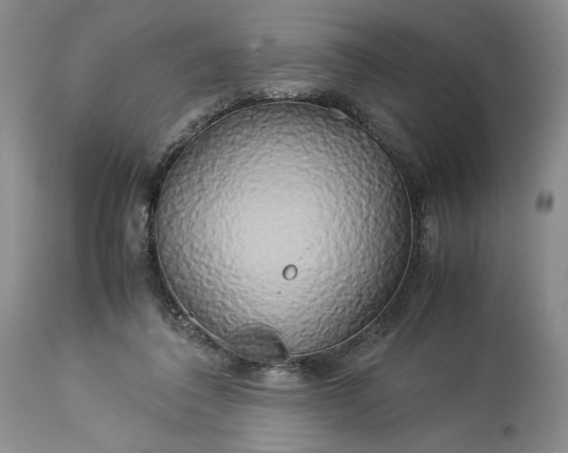X0000114190308200910231327