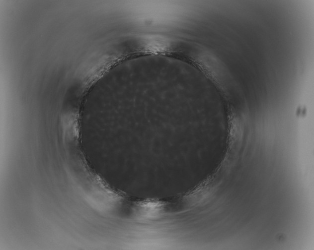 X0000114190313200910231327