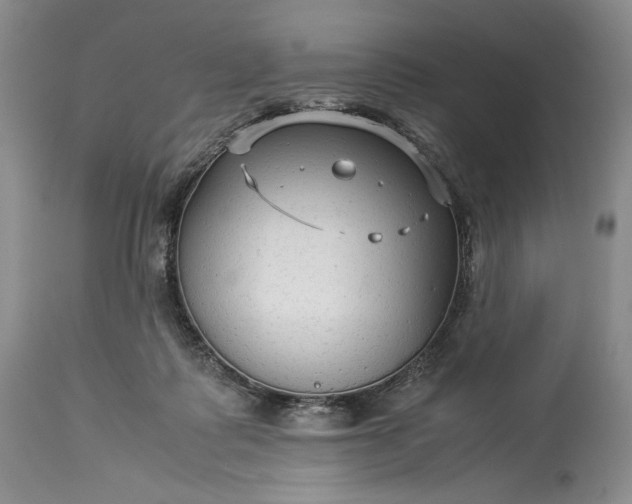 X0000114190315200910231327