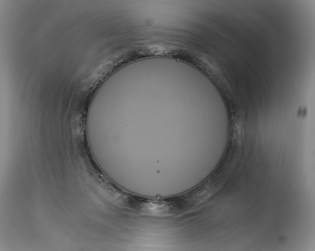 X0000114190317200910231327