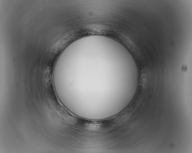 X0000114190318200910231327