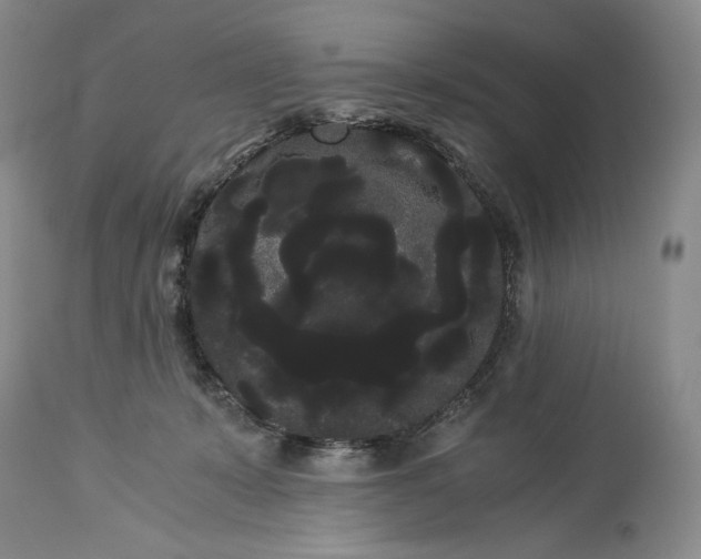 X0000114190319200910231327