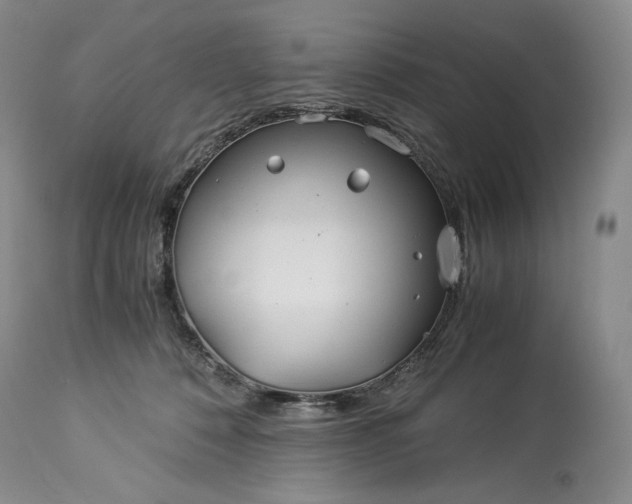 X0000114190320200910231327