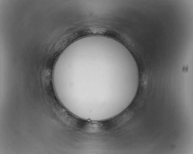 X0000114190321200910231327