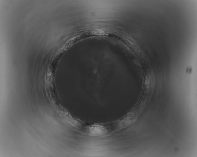 X0000114190322200910231327