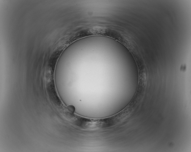 X0000114190323200910231327