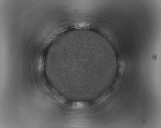 X0000114190324200910231327
