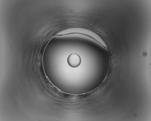 X0000114190325200910231327