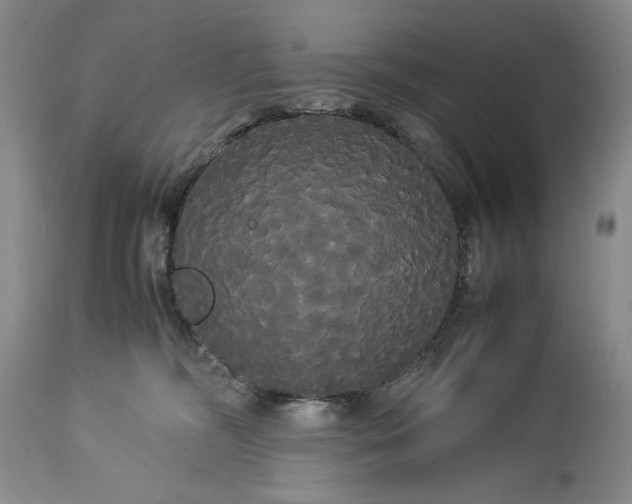 X0000114190326200910231327