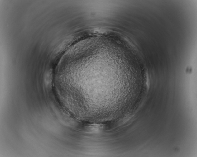 X0000114190328200910231327