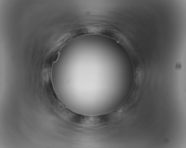 X0000114190329200910231327