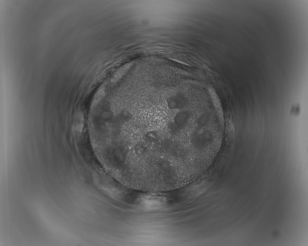 X0000114190331200910231326