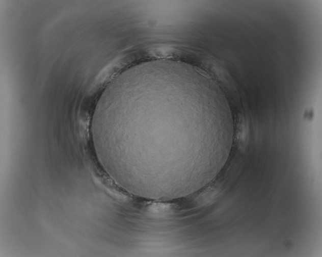 X0000114190332200910231326