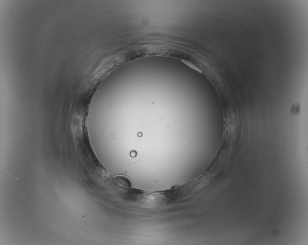 X0000114190333200910231326