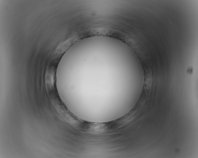 X0000114190334200910231326