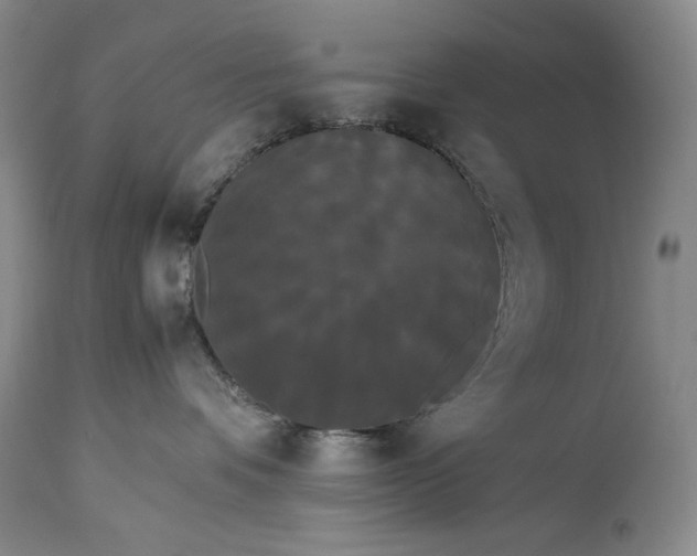 X0000114190336200910231326